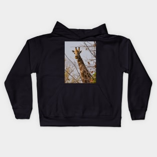 Young curious giraffe in Botswana Kids Hoodie